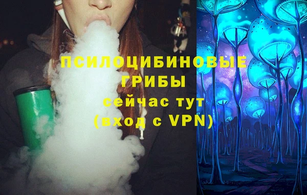прущие грибы Абдулино