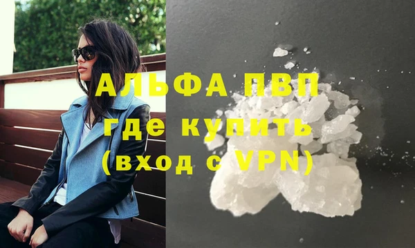 крисы Абаза