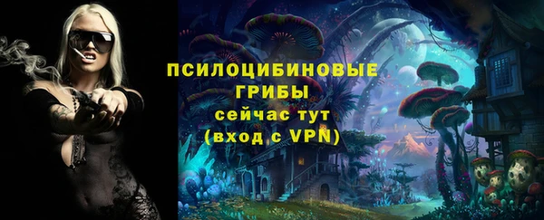 ECSTASY Навашино