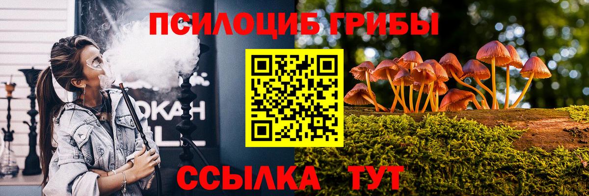 наркотики  Псилоцибиновые грибы мицелий  Вход с VPN  Чита 